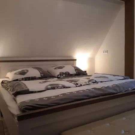 Apartmán Ferienapartment-monteurwohnung-muldestausee Pouch