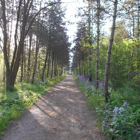 Ferienapartment-monteurwohnung-muldestausee 公寓