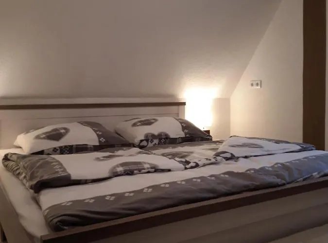 公寓 Ferienapartment-monteurwohnung-muldestausee Pouch