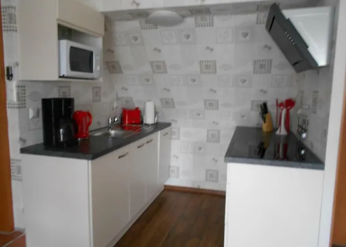 Ferienapartment-monteurwohnung-muldestausee 公寓 *