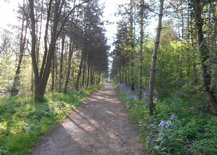 Ferienapartment-monteurwohnung-muldestausee Apartmán