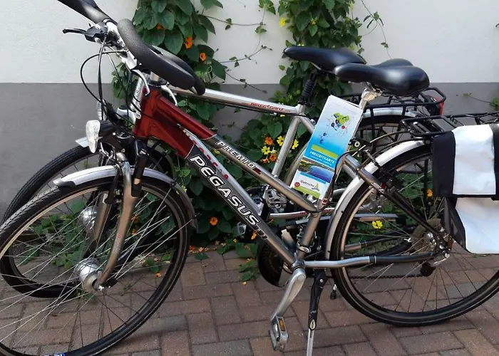 Ferienapartment-monteurwohnung-muldestausee *